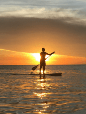 homepage modules-paddle